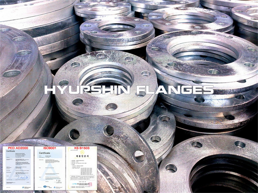 Selling Hot dip galvanizing flange hot dipped galvanized flange