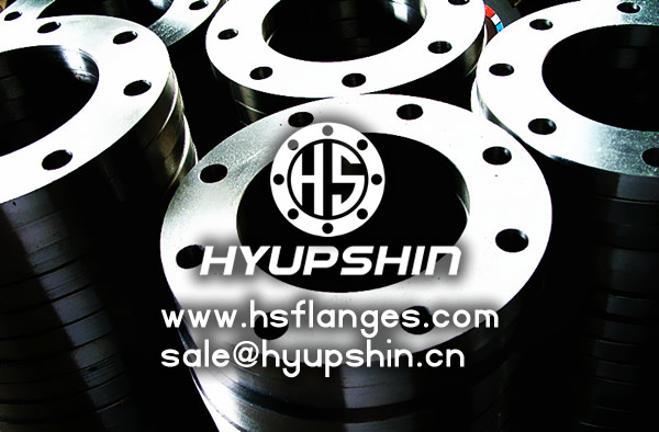 Manufacture DIN2527 forging blind flanges, low price PN6 PN10 BLRF BLFF flanges
