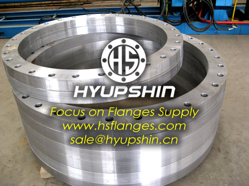 Export Forging CARBON STEEL Flange EN1092 Standard made in China