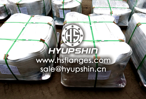 DIN P245GH Carbon Steel Flange with Raised Face