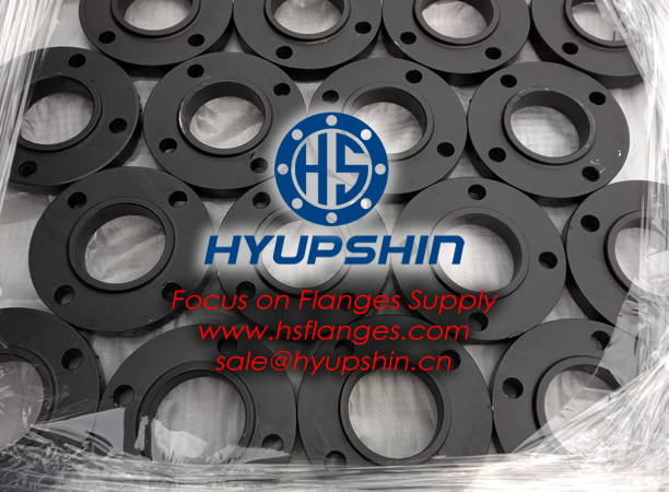 sell RAISED FACE PLATE DIN STANDARD FORGED CARBON STEEL FLANGE
