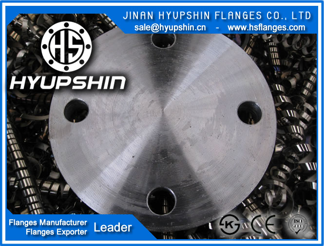 export china manufacture bs10 table D blind pipe flange