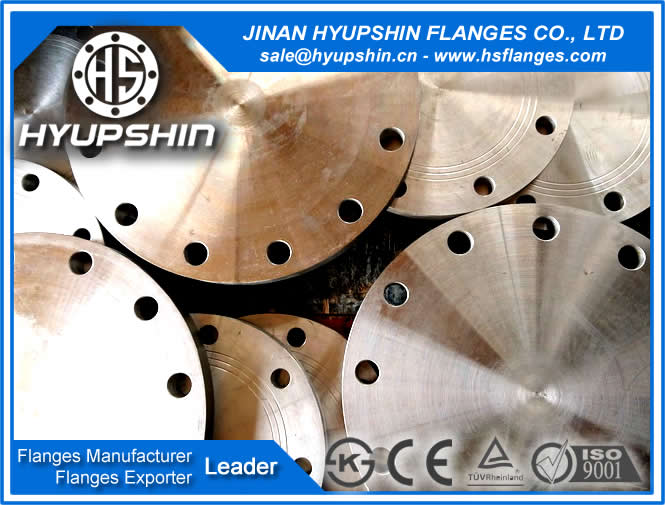 manufacture blind forged bs10 table E pipe fittings flange