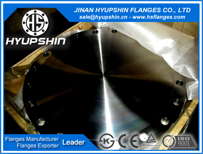 Manufacturer high quality 30 inch carbon steel ASNI B16.47 blind flange