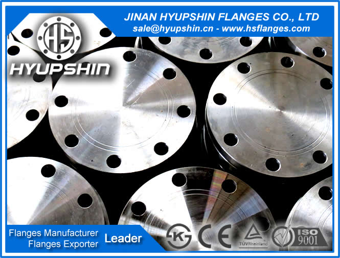 EXPORT p250gh steel din pn6-pn40 flat face blind blff flange