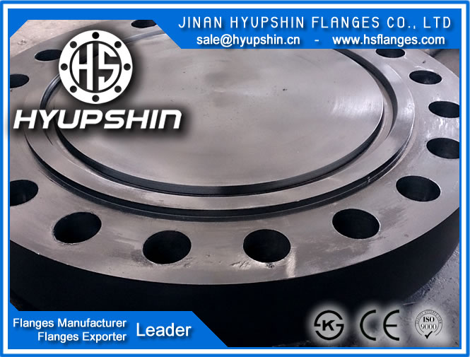 export factory price standard din2527 blind forging flange