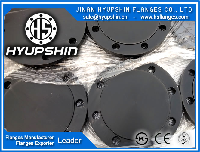 export forging carbon steel p245gh blind pn16 din2527 flange