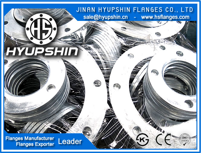 CHINA MANUFACTURER BS T/D BACK RING FLANGE
