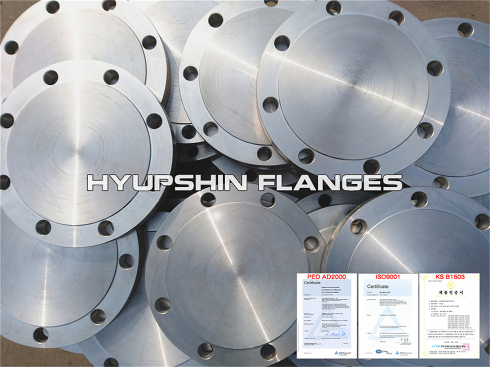 Sell Blind Blank Flanges DIN EN1092-1 Type05 2527 PN6 PN10 PN16 PN25 PN40