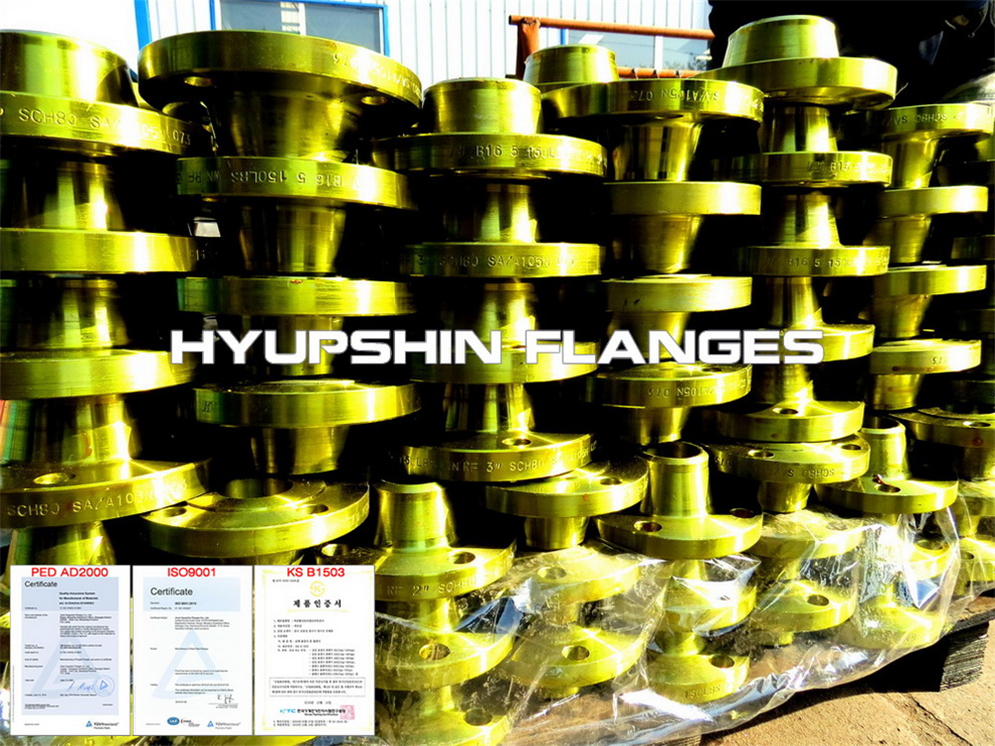 Export Offer for DIN PN25 Welding Neck Flange carbon steel for Middle East Buyers