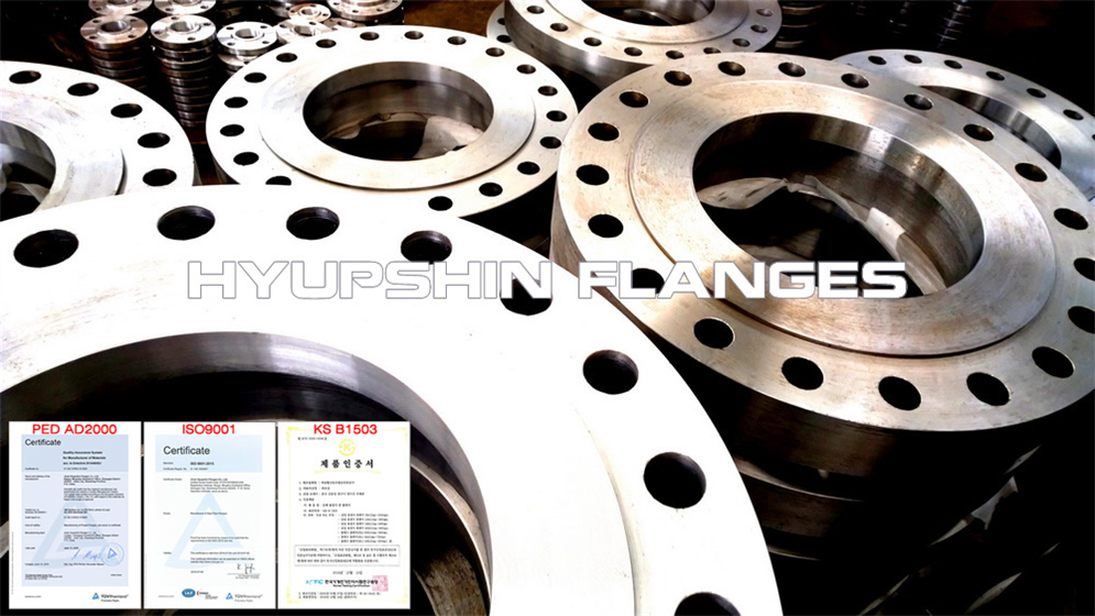 Export Offer for DIN PN25 Socket Weld Flange S235JR carbon steel for Europe Buyers