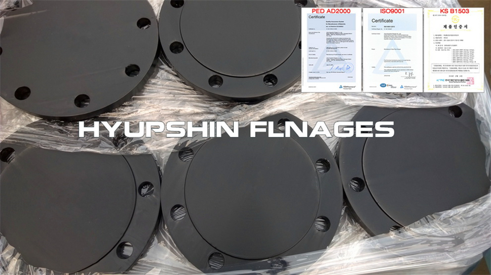 Quotation for ANSI B16.5 Class 150 Blind Flange carbon steel for Middle East Buyers