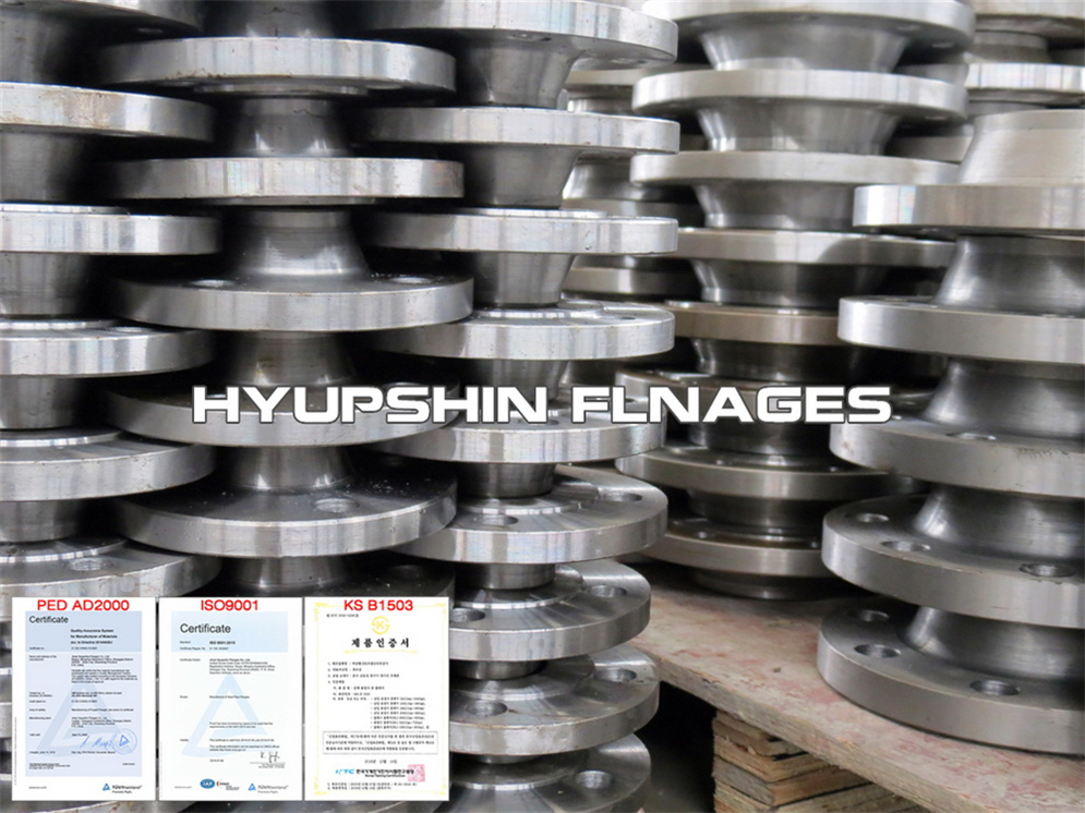 Export Offer for EN1092-1 PN10 Type 11 Welding Neck Flange P250GH carbon steel for Southeast Asia Buyers
