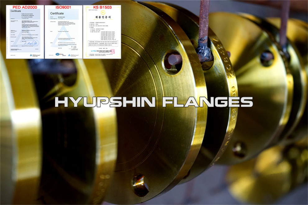 Quotation for EN1092-1 PN10 Type 05 Blind Flange S235JR carbon steel for Europe Buyers