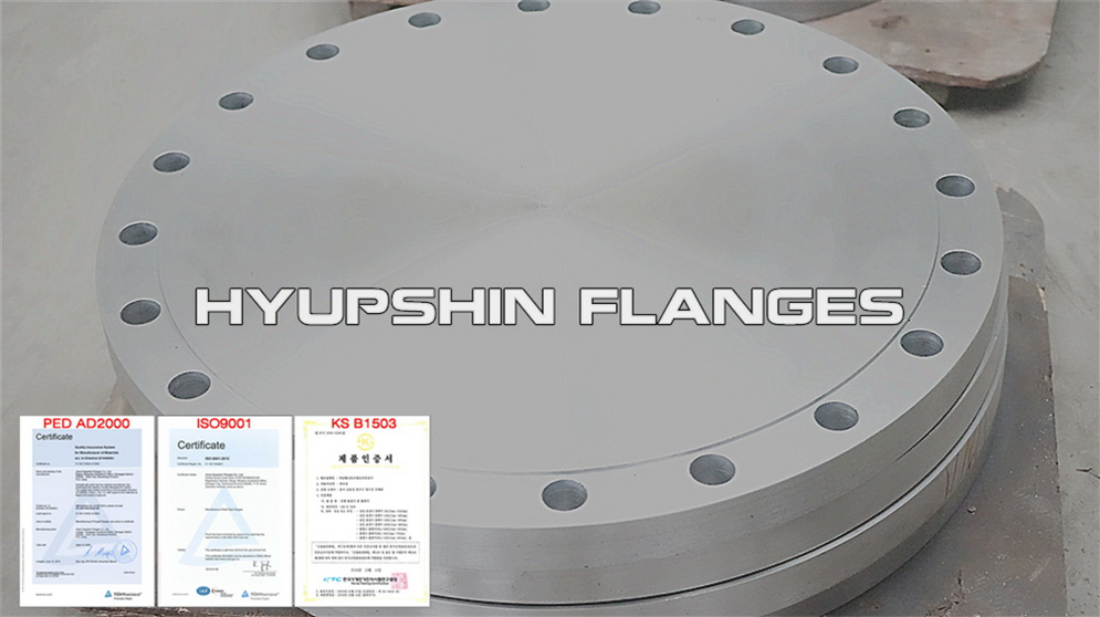 Quotation for ANSI B16.5 Class 150 Blind Flange ASTM A105 carbon steel for Southeast Asia Buyers