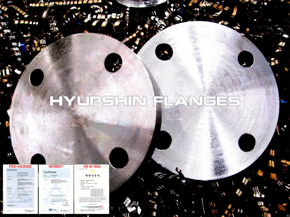 Quotation for GOST 33259 PN16 Blind Flange 09G2S carbon steel for Eastern Europe Buyers