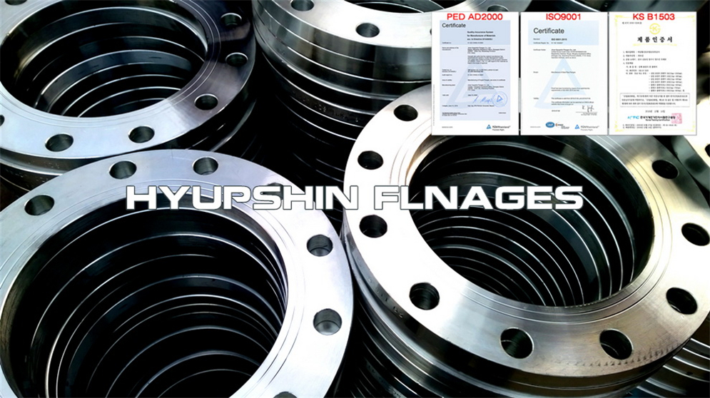 Supply GOST 33259 PN25 Type 01 Plate Flange 09G2S carbon steel for Eastern Europe Buyers