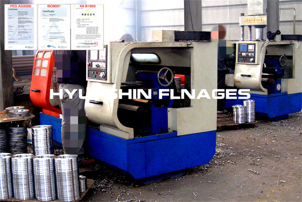 Sell EN1092-1 PN25 Type 01 Plate Flange P245GH carbon steel for Europe Buyers