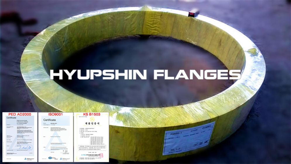 Supply GOST 33259 PN25 Type 01 Plate Flange Steel 20 carbon steel for Central Asia Buyers