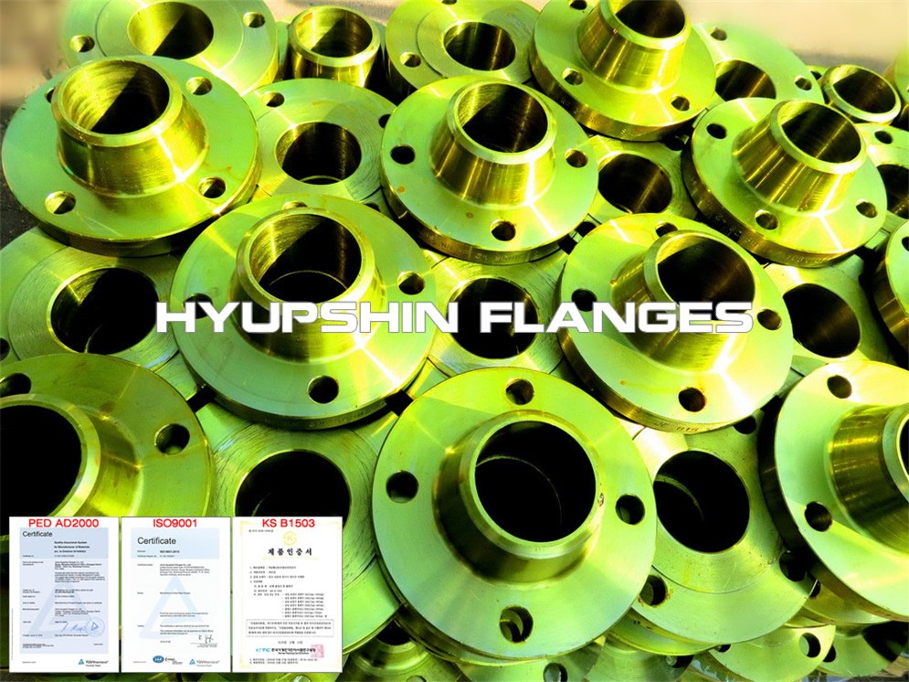 Export Offer for DIN PN10 Welding Neck Flange P245GH carbon steel for Middle East Buyers