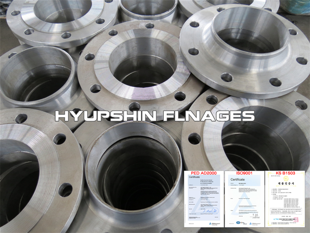 Export Offer for EN1092-1 PN25 Type 11 Welding Neck Flange S235JR carbon steel for Middle East Buyers